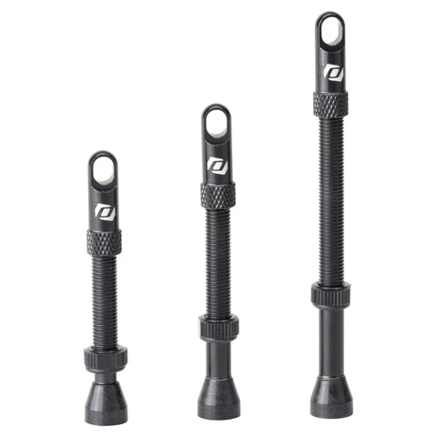 SYNCROS Valvole Tubeless